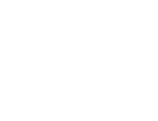 Logo Sel et Braise